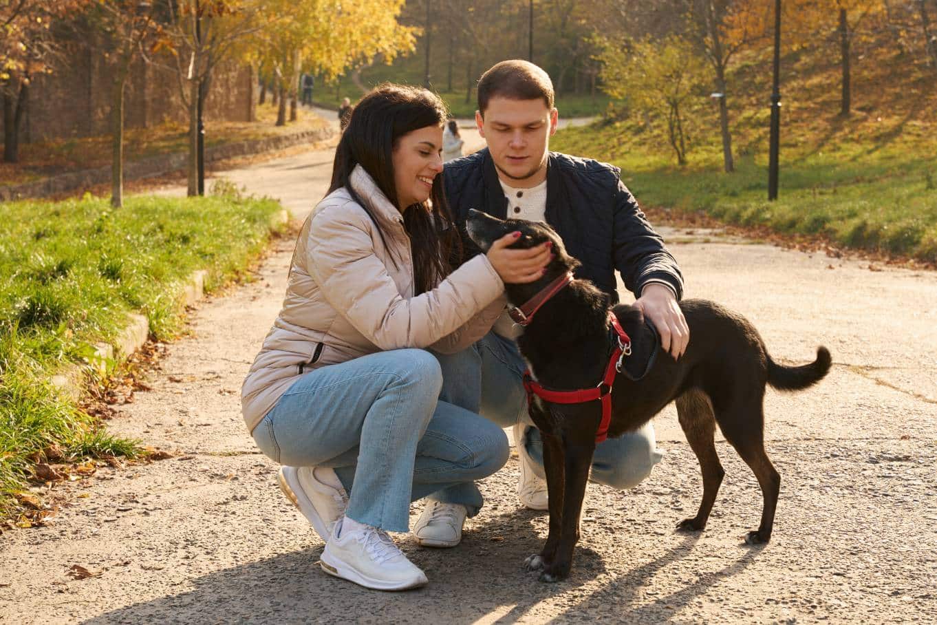 cheerful-couple-with-their-dog-for-walk-in-autumn-2025-03-08-04-34-52-utc (1) cheerful couple with their dog for walk in autumn 2025 03 08 04 34 52 utc 1